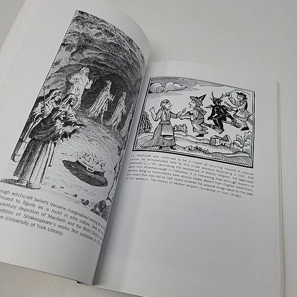 Witchcraft in Early Modern England by James Sharpe Paperback Book Witches Occult - Picture 11 of 12